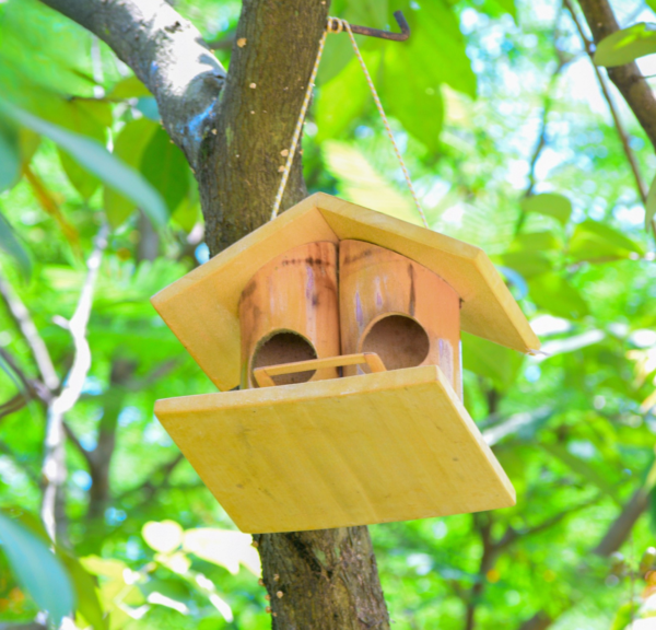 Eco-Friendly Sparrow Bird Nest with Feeder